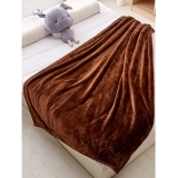 Moisture Absorption Fluffy Warm Blanket